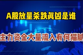 A股放量杀跌真凶是谁？主力资金大量流入超100亿有何猫腻视频封面