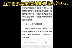 山东缴多渠道缴纳非税收入的方式（例如幼儿园保教费）视频封面
