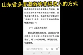 山东缴多渠道缴纳非税收入的方式（例如幼儿园保教费）