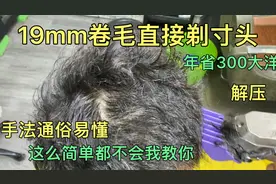 19岁靓仔自然卷剪寸头，师傅5分钟讲解基础手法，学会年省500大洋视频封面