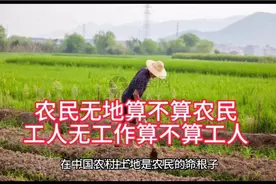 很多农民没有地，到底该怎么办？中央一号文件:全面推进土地改革视频封面