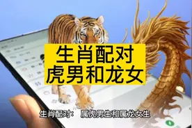 生肖配对：属虎男生和属龙女生视频封面