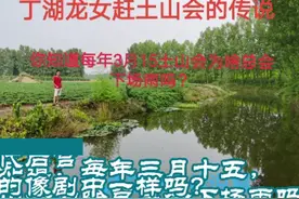 方城丁湖龙女赶土山会的传说！视频封面