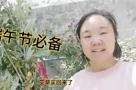 端午节到了，艾草准备好了吗视频封面