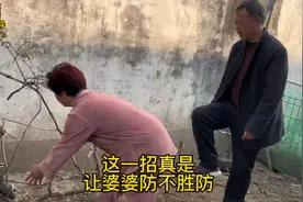 清早起床都开始找这事那事的，最后公公给婆婆来了个防不胜防！