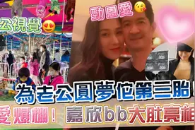 为老公圆梦怀第三胎！钟嘉欣晒老公视觉美照，一家四口游玩劲温馨视频封面