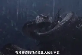 这是一条长达百米的巨型蟒蛇，探险小队能否生还视频封面