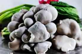 菠菜平菇是绝配，做法简单，清淡爽口，家常素炒，中秋节家宴美食视频封面