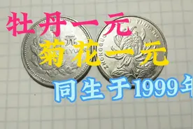 很贵的“双胞胎”一元硬币，1999年版的，收藏价值非凡。视频封面