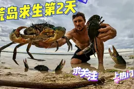自给自足的海岛生活，实现螃蟹龙虾自由，真是羡慕视频封面