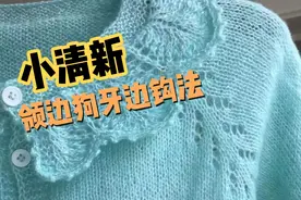 小清新，扣眼留法，领边狗牙边的钩法和前后片的落差以及腋下加针视频封面