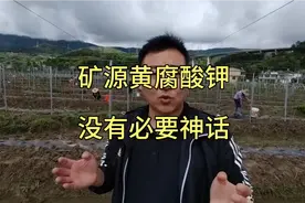 矿源黄腐酸钾的主要作用和使用方法视频封面