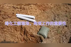 绿化工程现场为您讲解，栽植前需要做的一些有助于成活的措施视频封面