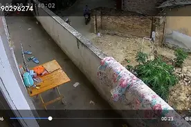 天气热了蛇在我家里睡觉 ，被我吵醒了视频封面
