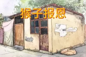 灵猴报恩视频封面