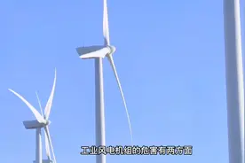 风力发电会不会对居民身体造成损害？米国最大的风力发电厂视频封面