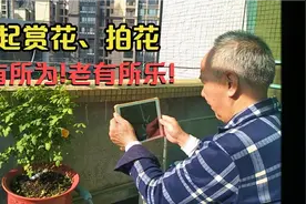 父亲与春天的约会😀️😀️视频封面