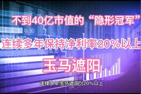 不到40亿市值的“隐形冠军”视频封面