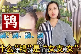 “鸨”什么意思，为什么代指鸡头？广东粤语教6种鸟类名称读音视频封面