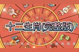 十二生肖(鼠、牛、虎、兔、龙、蛇、马、羊、猴、鸡、狗、猪）视频封面