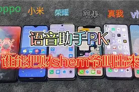 oppo小米荣耀苹果真我vivo 语音助手pk，谁能把财shen爷叫出来呢视频封面