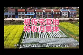 祖传宅基地不属于私有资产！宣传宅基地收归集体的口号大造声势视频封面
