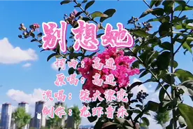 烟嗓女生唱高进的《别想她》放手吧，爱过就好，何必要苦苦挣扎视频封面