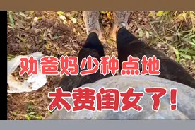 明年一定要劝爸妈少种点地，太费闺女了😂你们觉得呢？视频封面