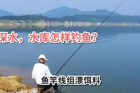 深水区域，水库怎么钓鱼？视频封面