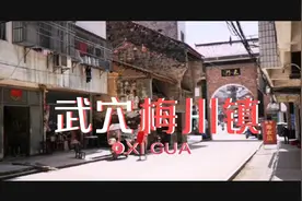 武穴市第一镇梅川镇，镇区人口众多、经济发展强劲，厉害了视频封面