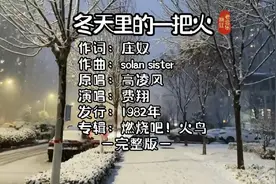 80年代流行歌曲，第7集，《冬天里的一把火》1982年发行。