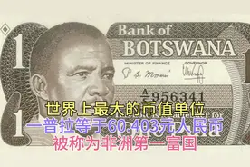 世界上最大的币值单位 一普拉等于9.41美元 被称为非洲第一富国视频封面
