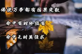 佛说万事都有因果定数，命中有时终须有，命中无时莫强求，随缘视频封面