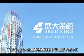 盛大金禧老板欠下百亿跑路，老板娘是选美冠军视频封面