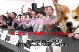 狗：这TM是人拉的？视频封面