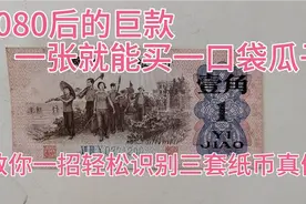 一招分别第三套人民币的真假。7080后的巨款一张能买一口袋瓜子视频封面