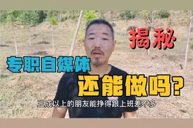 想进自媒体圈的需要看看，揭秘专职自媒体还能干吗视频封面