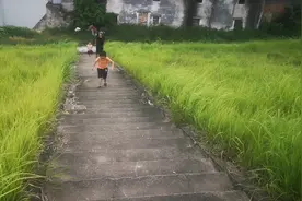 哥哥和邻居家的小女孩文艺表演视频封面