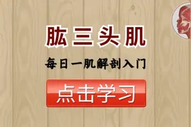 【每日一肌】肱三头肌——容易松弛的肌肉，手臂痛、拜拜肉的元凶视频封面