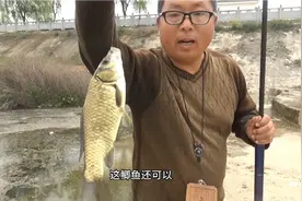 怎么才能钓到中午上浮的鱼，看看大伟这个操作，下竿就连杆中鱼视频封面