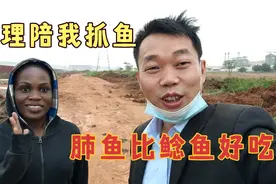 非洲助理跟我一起去收鱼，说肺鱼比鲶鱼好吃，但却不敢抓鱼视频封面