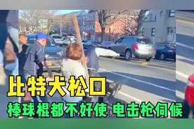 比特犬咬住不撒口怎么办，棒球棍电击枪伺候视频封面