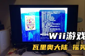 任天堂wii游戏 瓦里奥大陆 摇晃视频封面
