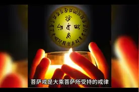 菩萨戒视频封面