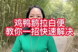 鸡鸭鹅拉白便，教你一招视频封面