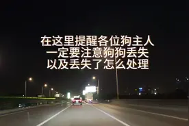 狗狗丢失了怎么办，大家一定要注意啊视频封面