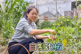 好吃的泡椒只需要最简单的做法，又脆又香又辣，简简单单又是一餐视频封面