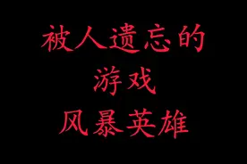 被人遗忘的游戏，“风暴英雄”。视频封面