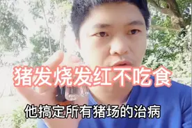 猪身上发红不吃食，一种可以把猪身上发红不吃食治好，4种备用的