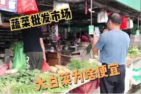 汕头市金平区这个蔬菜批发市场，蔬菜零售很便宜的，你来看看视频封面